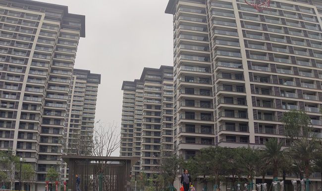 項(xiàng)目建設(shè)成果。滿茂奇 攝（修圖）.jpg